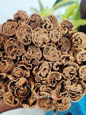 Ceylon Cinnamon/ सिलाॅन दालचिनी
