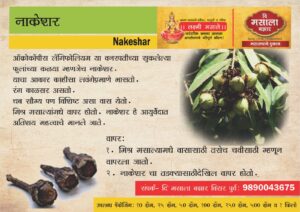 Nagkeshar/ नाकेसर/ नागकेशर
