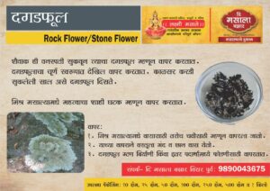 Stoneflower/ दगडफुल