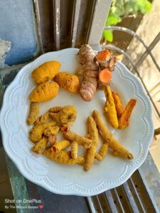 Read more about the article हळद, हळकुंड/ हलदी/ Turmeric